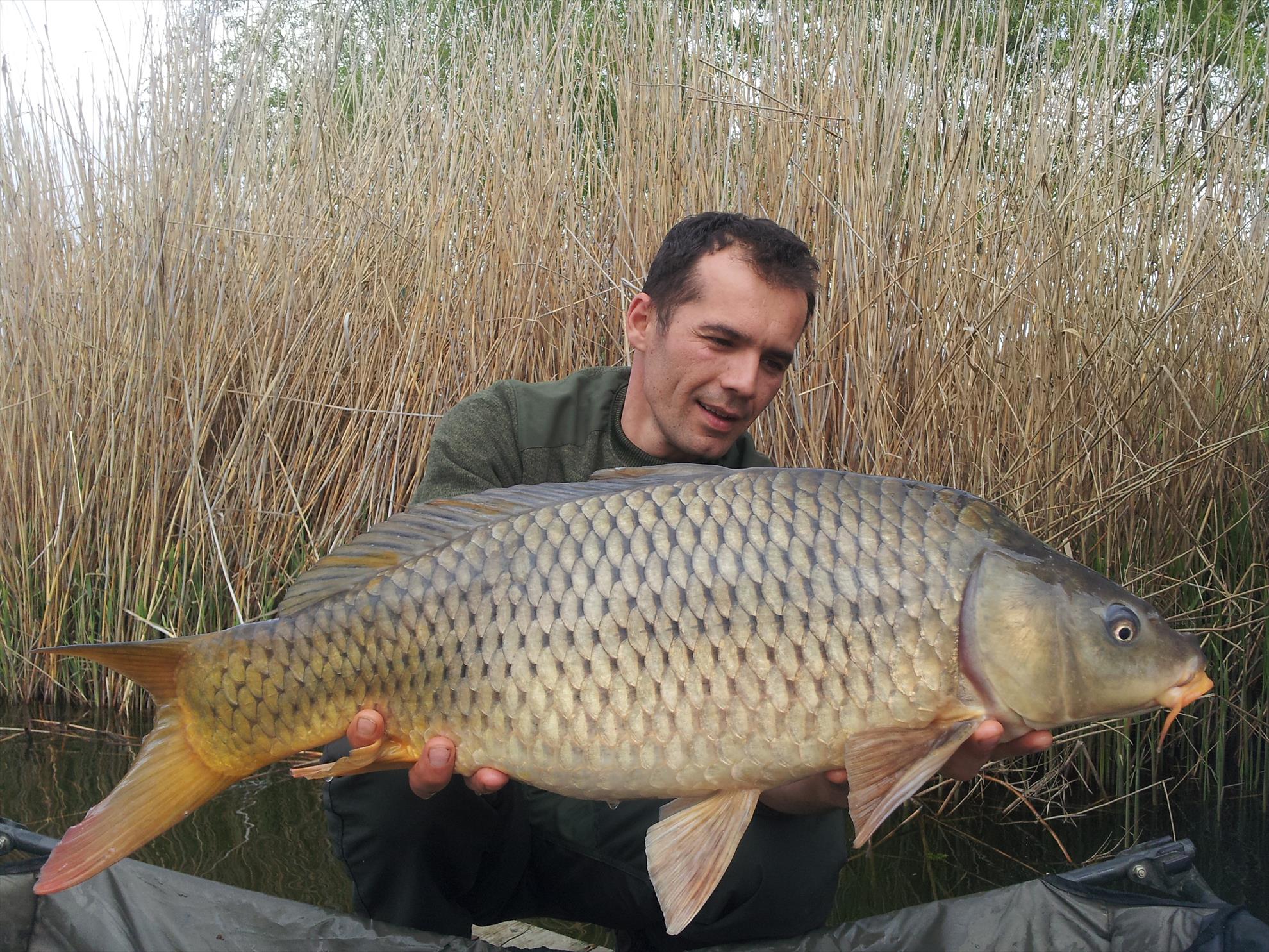 Tancabesti 11 - 12 apr. - 20000101030813.jpg